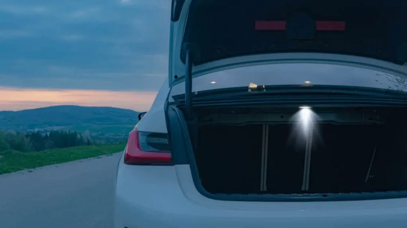 11.webp
