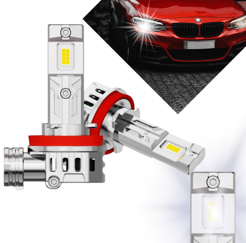 Główne Zdjęcie(831 x 821 px).png