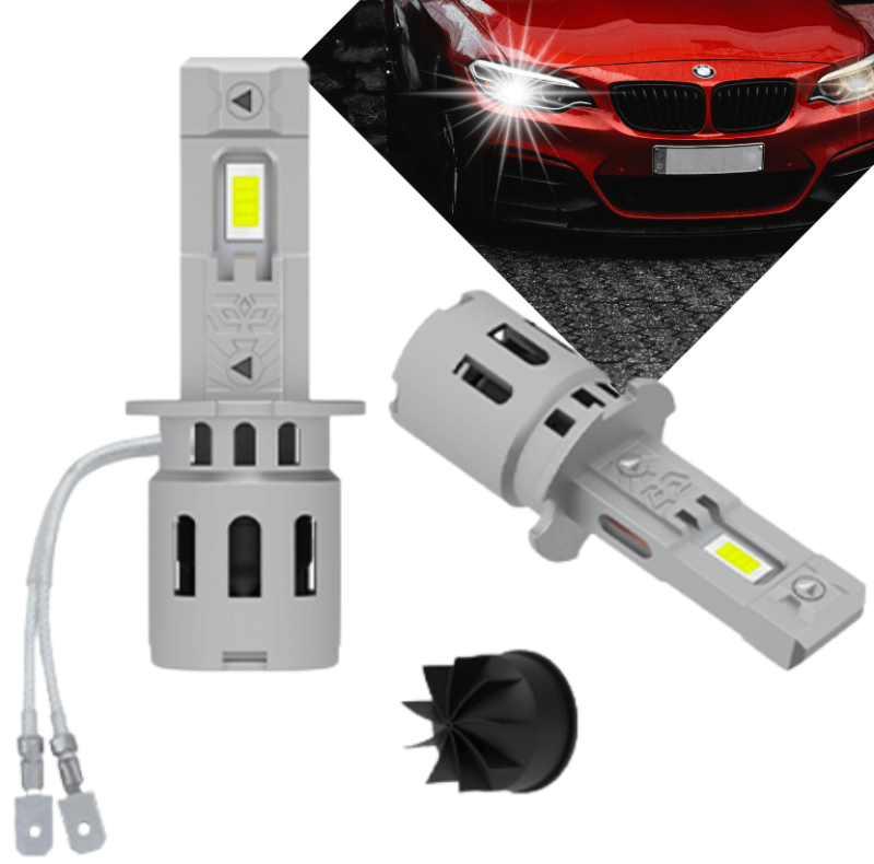 Główne Zdjęcie(831 x 821 px).png