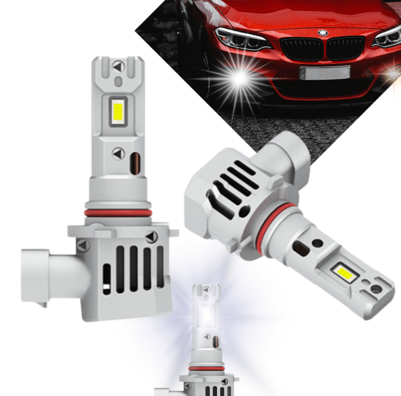 Główne Zdjęcie(831 x 821 px).png