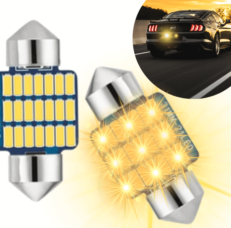 Główne Zdjęcie(831 x 821 px).png