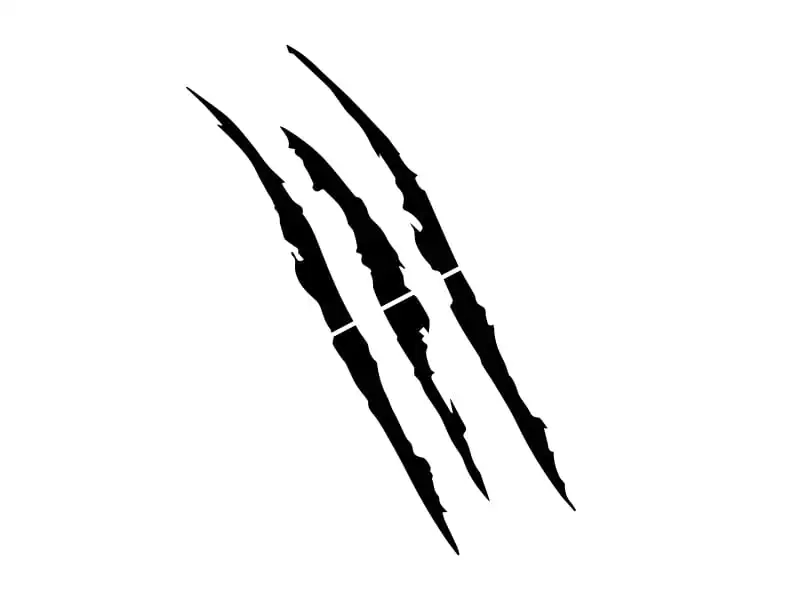 26906.webp